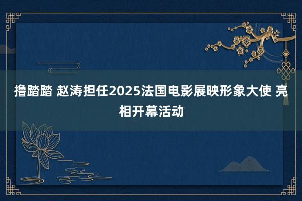 撸踏踏 赵涛担任2025法国电影展映形象大使 亮相开幕活动