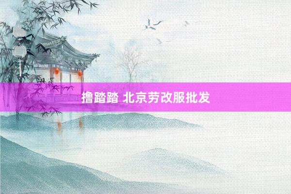 撸踏踏 北京劳改服批发
